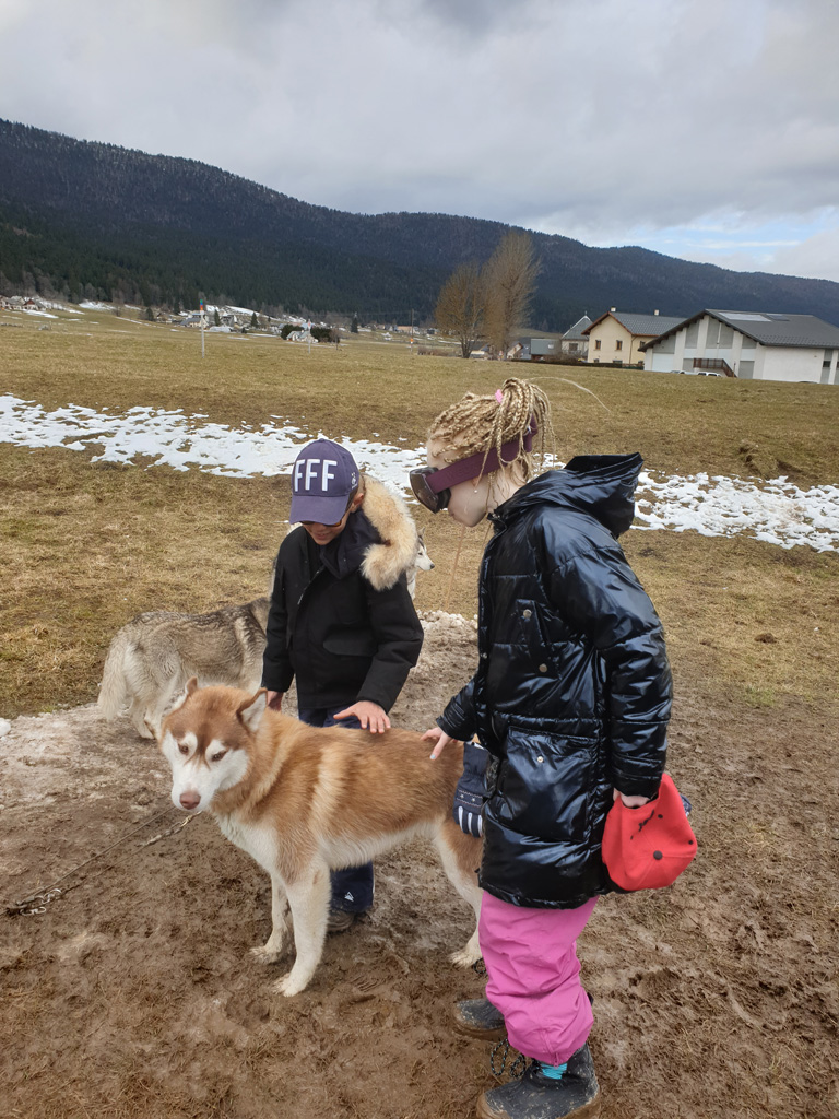 Deux enfants caressent un chien de traineau