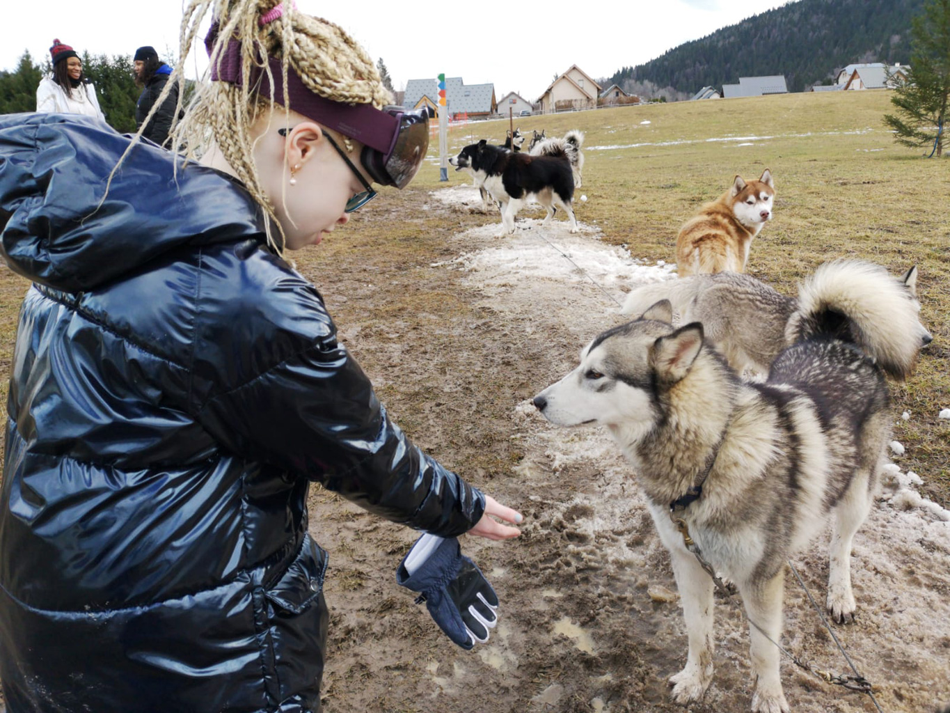Un enfant tend la main à un chien de traineau