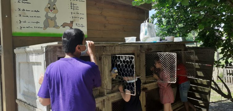 Des enfants devant des cages à lapin