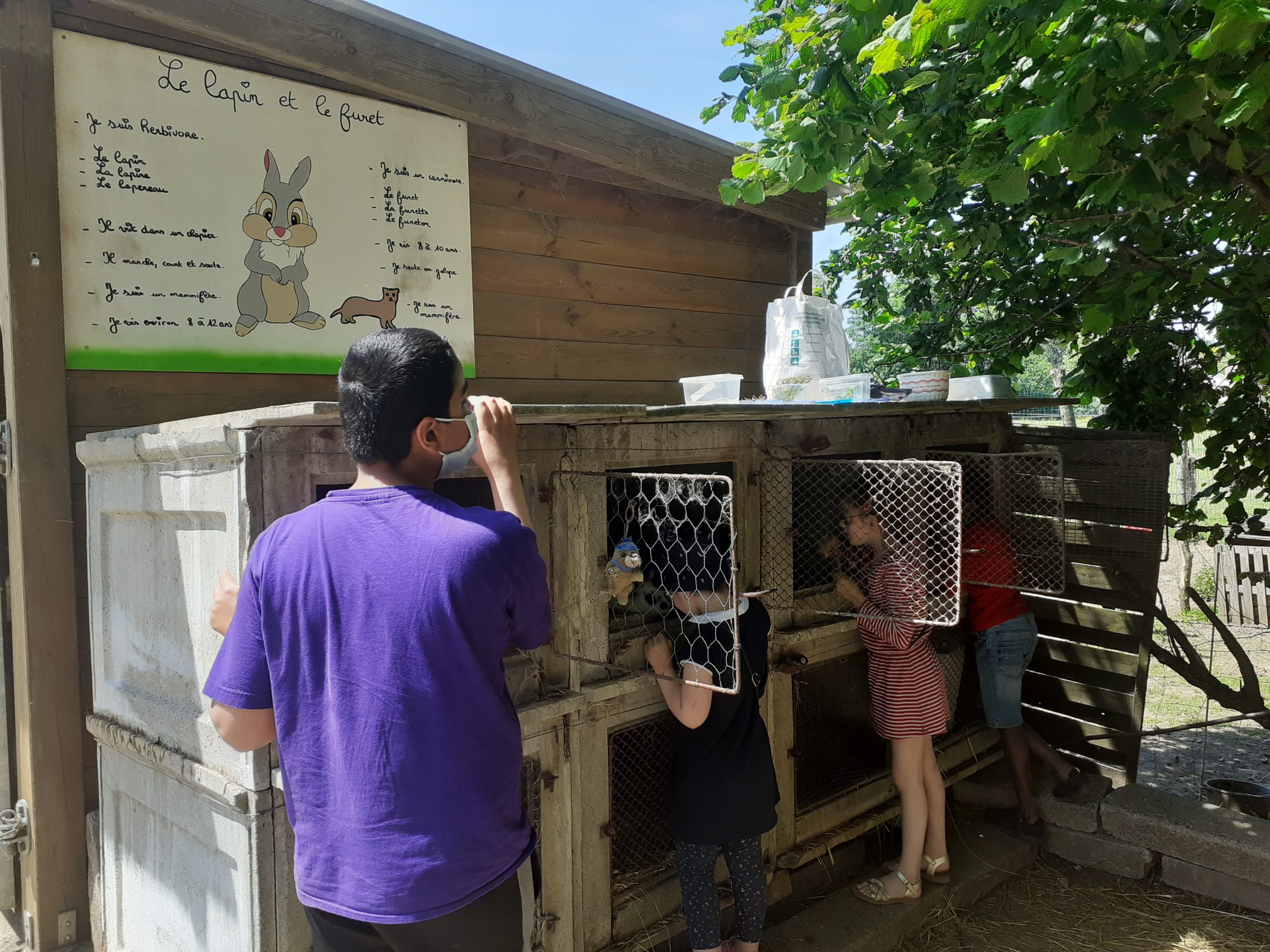 Des enfants devant des cages à lapin
