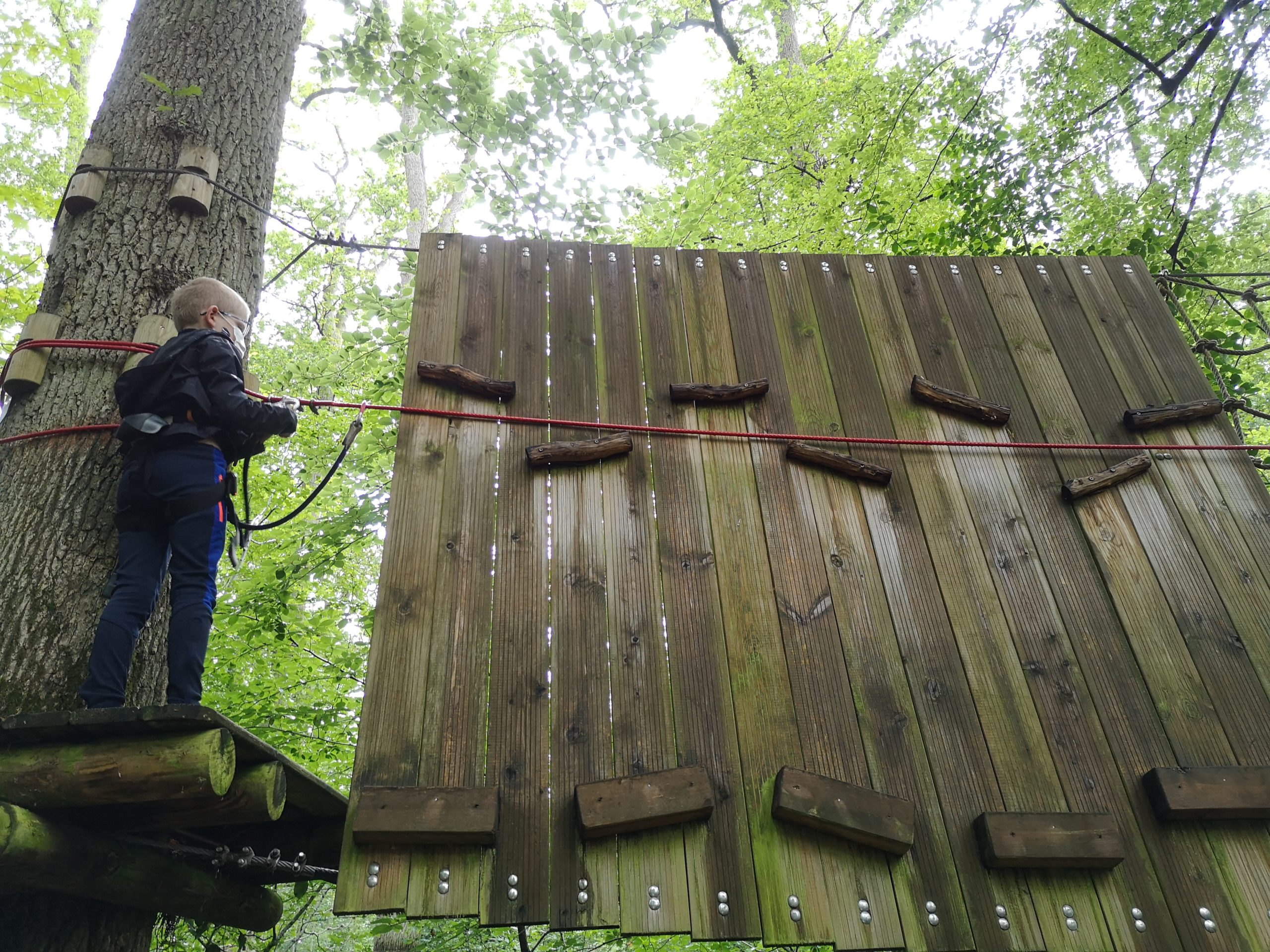 Un jeune fait de l'accrobranche