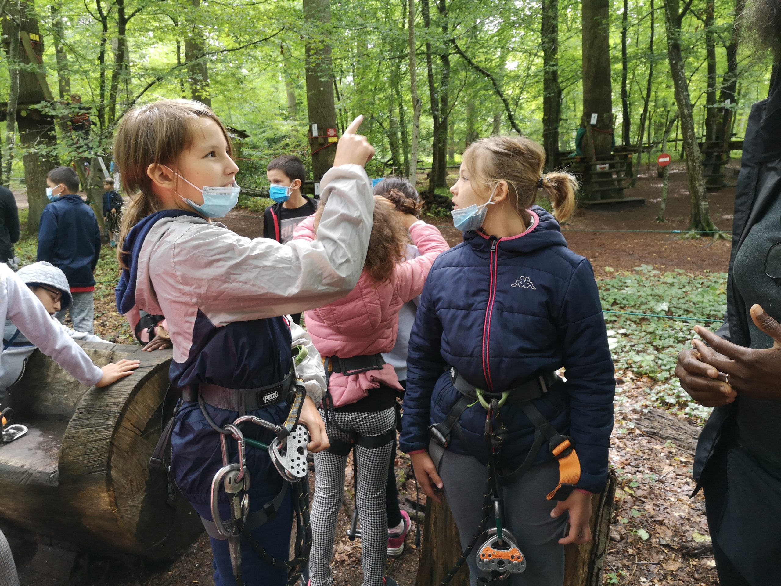 Des jeunes font de l'accrobranche